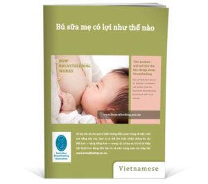 How Breastfeeding works - Vietnamese